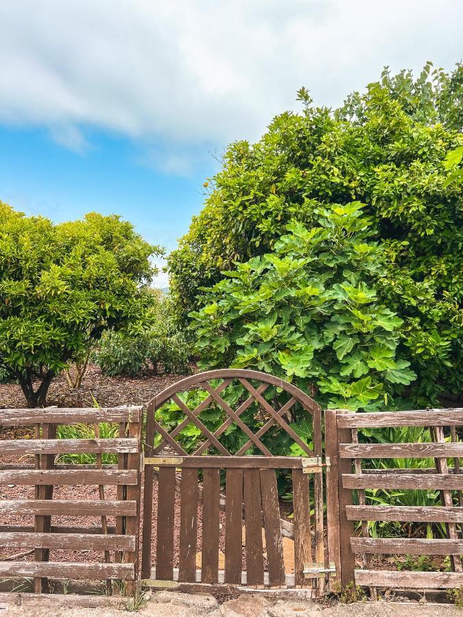 Apartment With Huge Deck Nestled In Marvelous Gardens - Nidos 拉奥罗塔瓦 外观 照片